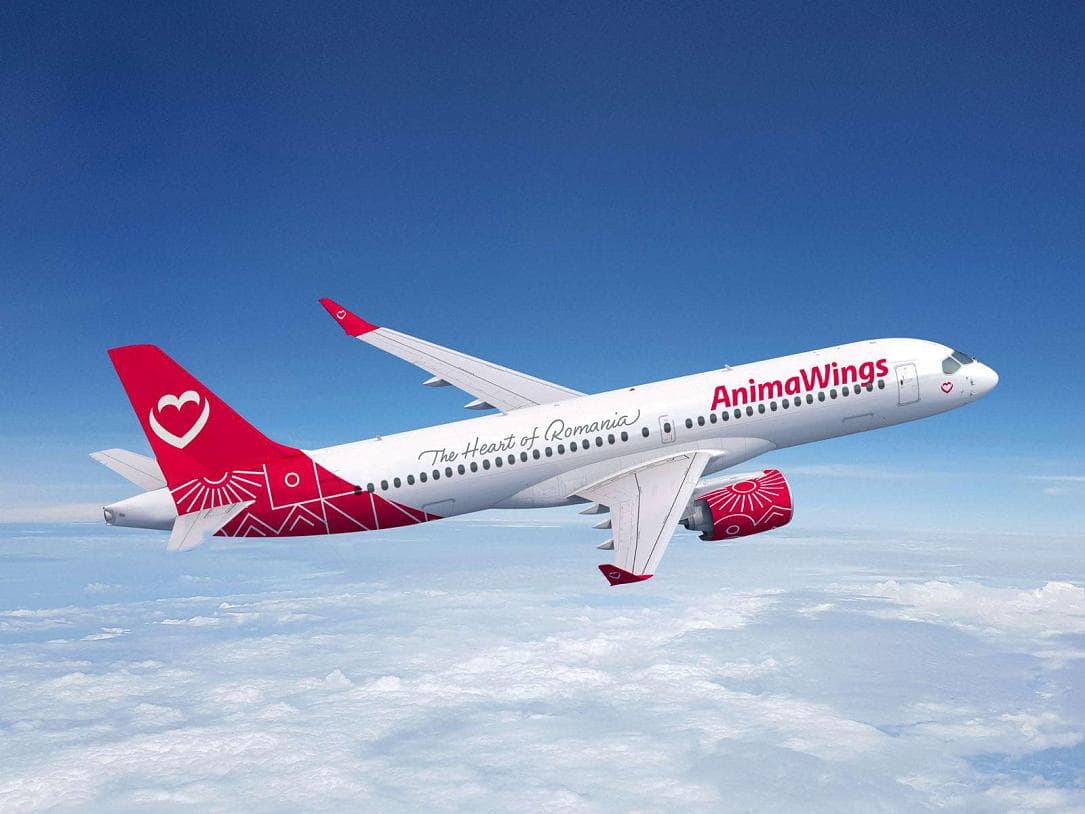 Animawings, İstanbul seferlerine başladı!