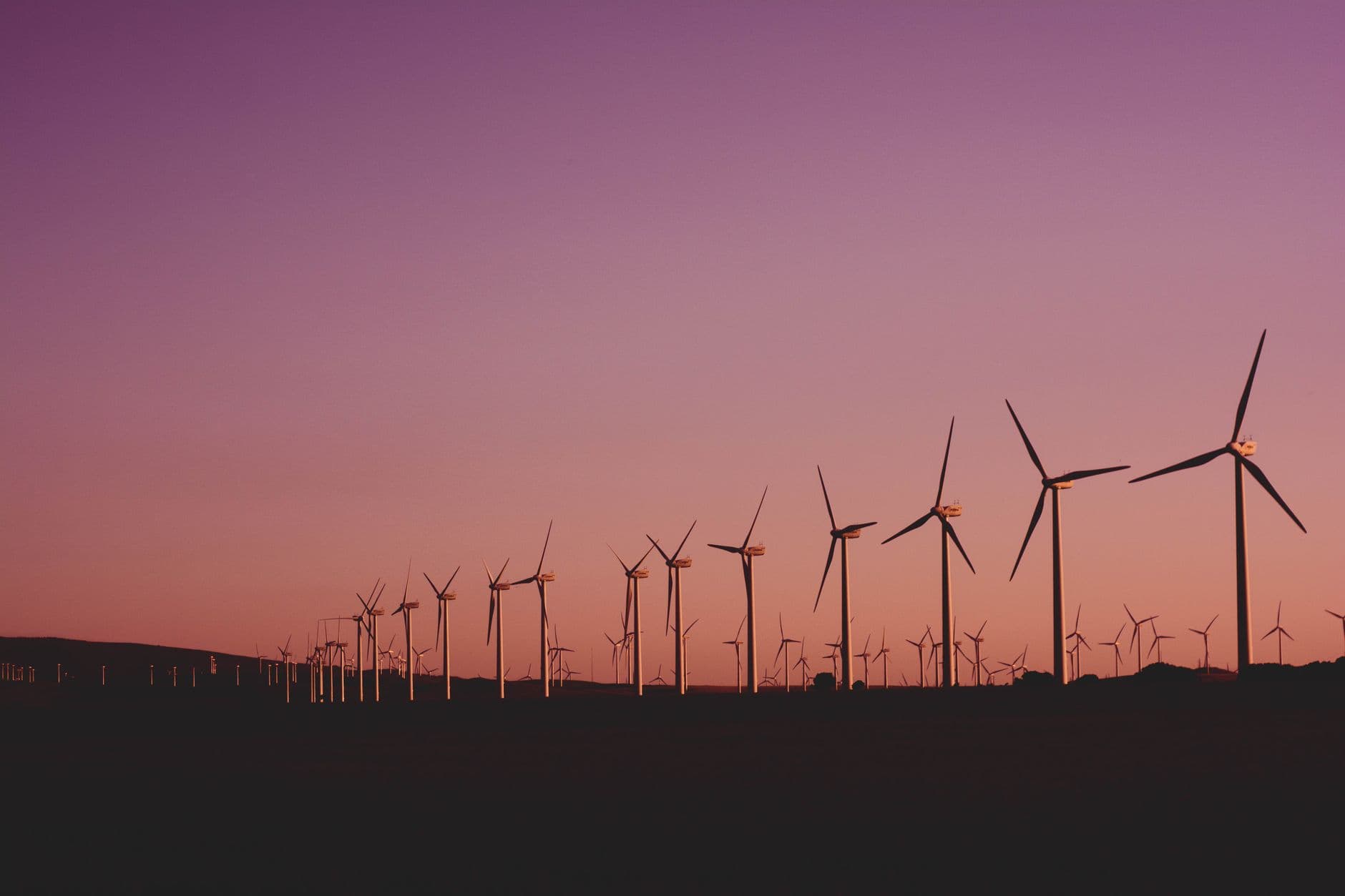 Enerjisa Üretim'in Power MBA Programı 5. Dönemi Tamamladı