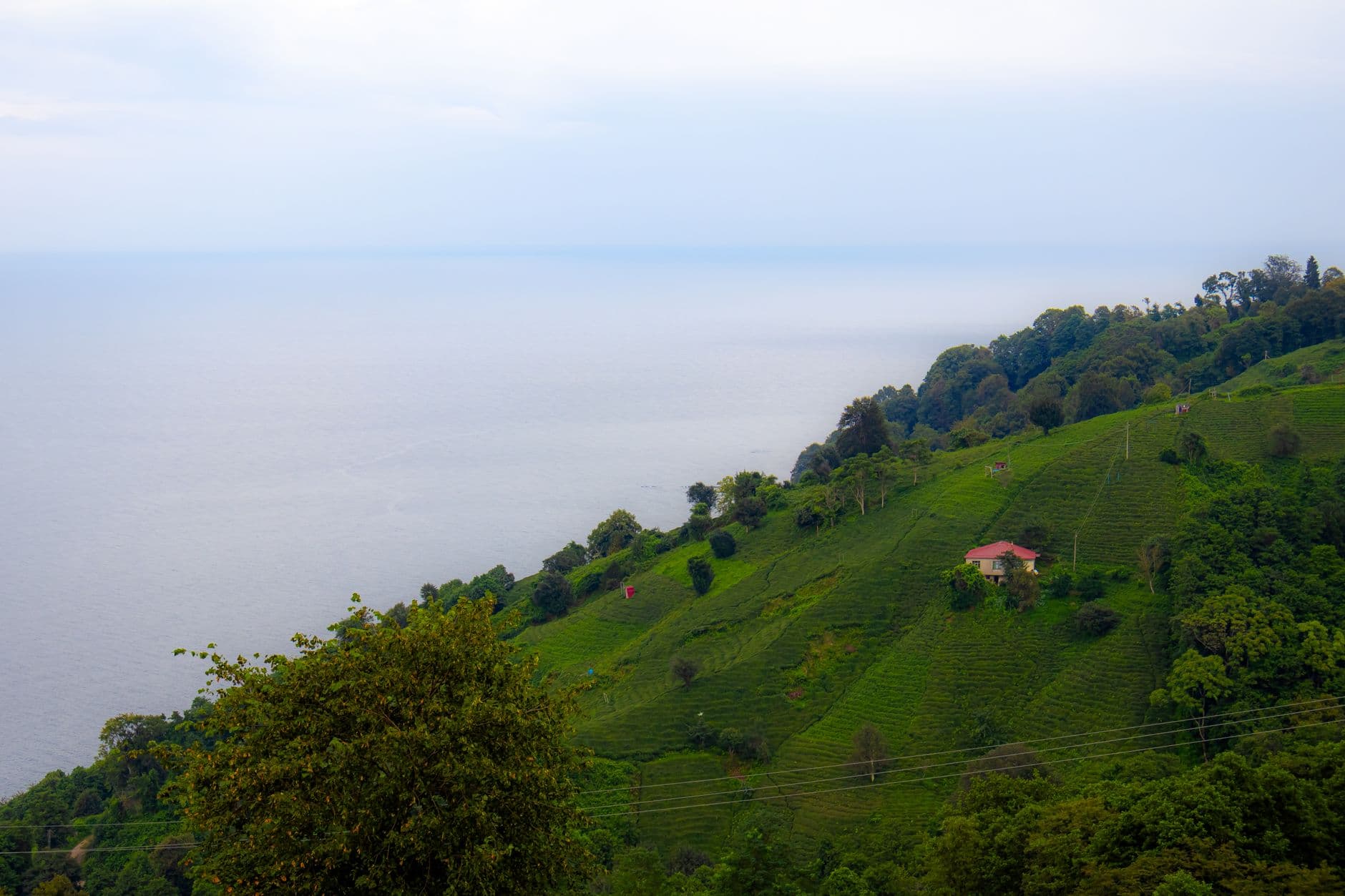 Batı Karadeniz Turizm Birliği resmen kuruldu