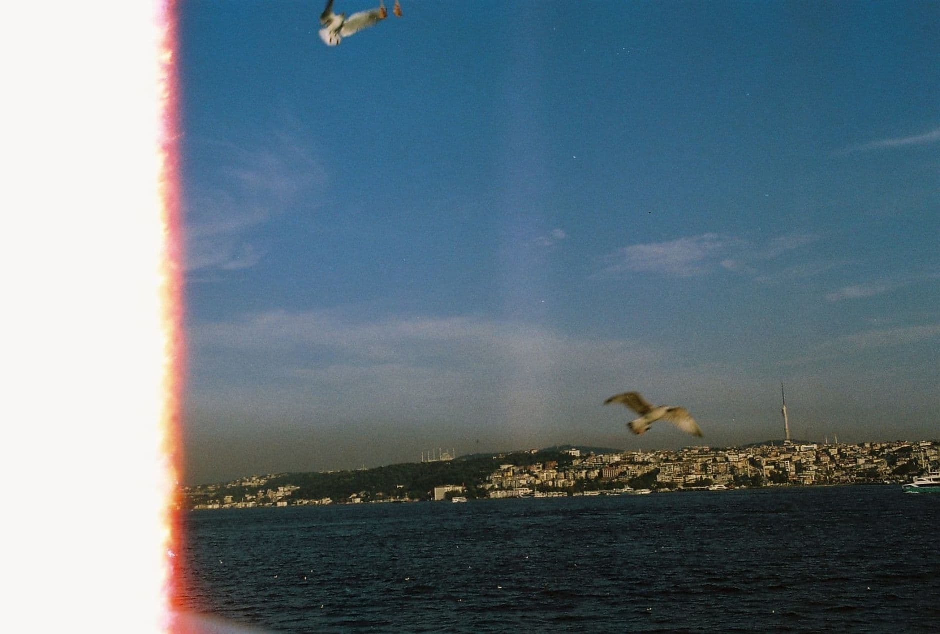 CVK Park Bosphorus Hotel'de Ağustos'ta açık hava sinema geceleri