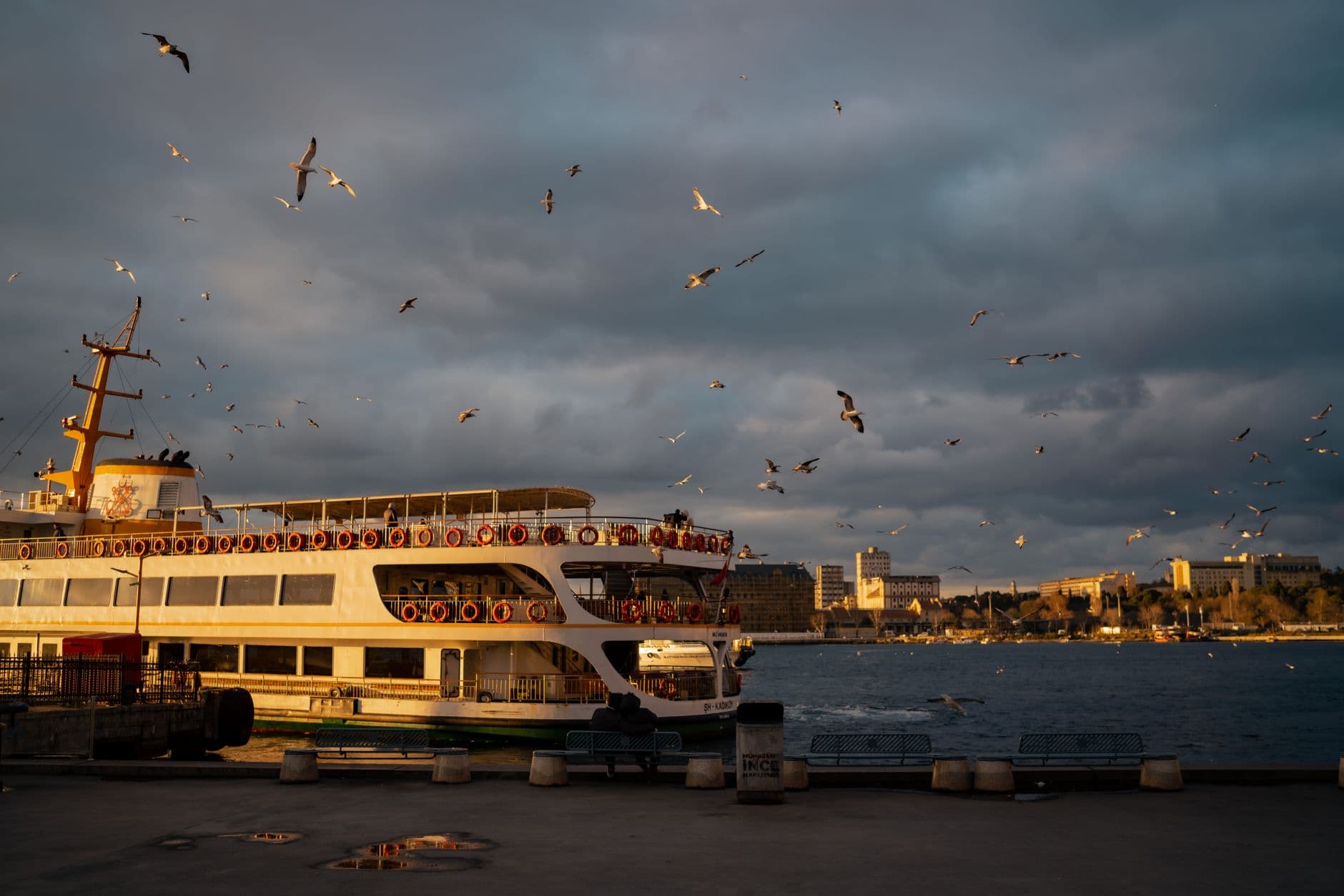 BUDO, Mudanya-Kabataş seferlerinde 4 sefer iptal etti